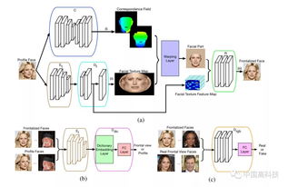 中科院科学家在生成对抗网络人脸识别领域取得突破性进展